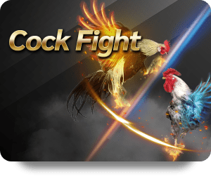 Dafabet Game Bài Hot: Giải Trí Đỉnh Cao Cho Người Chơi